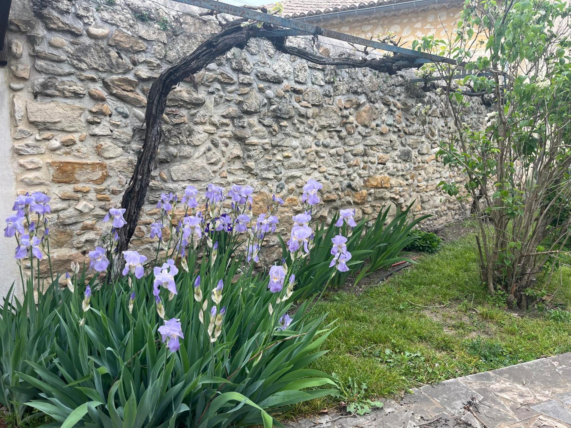 Maison En Provence Lapalud Eksteriør billede